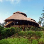 Green School Bali13 - copie