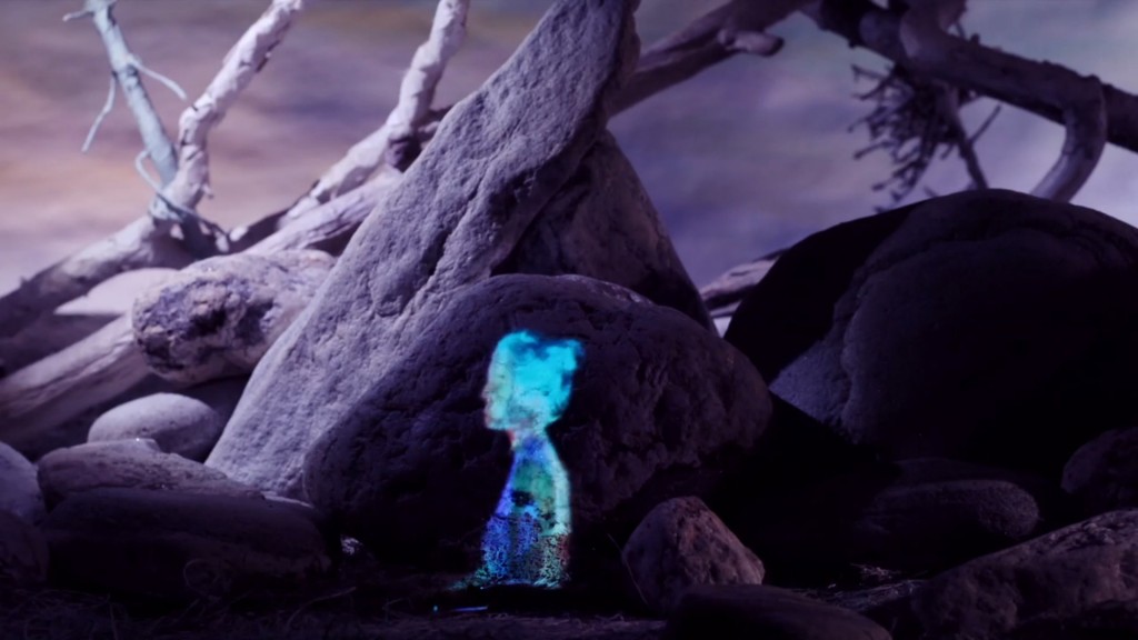 Iron and Wine Joy Media