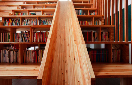 Library Slide