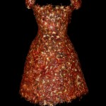 Outfits Made of Foods3