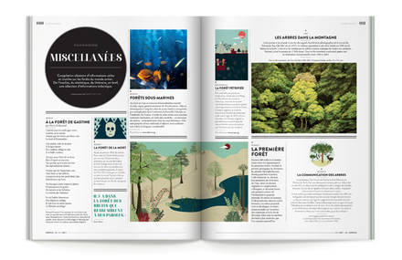 Cercle Magazine N°1 – La Forêt
