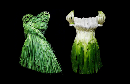 Outfits Made of Foods