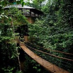 Sustainable TreeHouse10