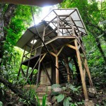 Sustainable TreeHouse5