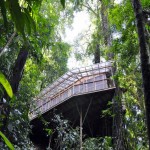 Sustainable TreeHouse6