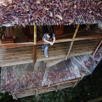 Sustainable TreeHouse8