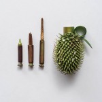 Weapons made of Plants3