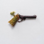 Weapons made of Plants5