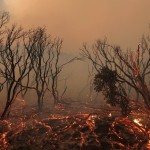 Powerhouse Fire in California8