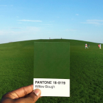 The Pantone Project-6