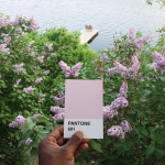 The Pantone Project-8