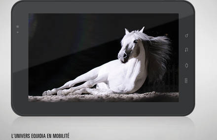 Première campagne pour EQUIDIA sous les couleurs de HELLO SUNSHINE:« EQUIDIA. Ne faîtes qu’un avec le cheval. »