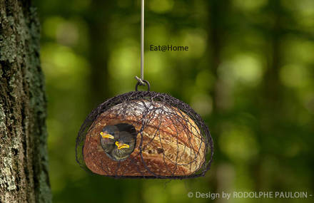 Eat@Home : Design bread house for birds