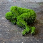 Living Sculptures of Grass2