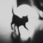 Photo Manipulations by Silvia Grav9