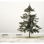 Stay by Akos Major-16