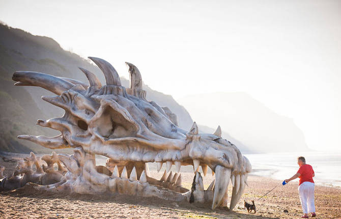 Massive Dragon Skull