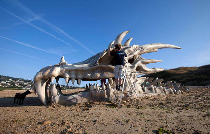 Massive Dragon Skull
