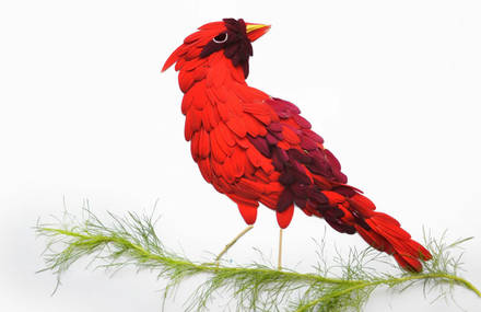 Impressive Illustrations of Birds Composed of Flower Petals by Red Hong Yi