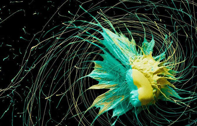 High Speed Photography Using Paint on Toys