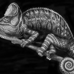 Detailed Ink Animal Drawings-8