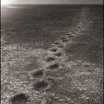 Elephant Footprints on Lake Bed