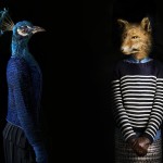 Fashion Dress Animals4