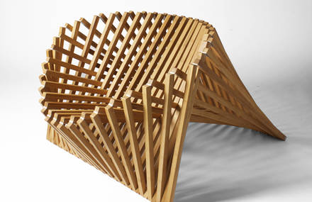 Rising Chair by Robert van Embricqs