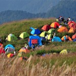 Camping Festival in China8