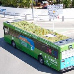 Green Bus6