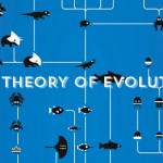 The Theory of Evolution5