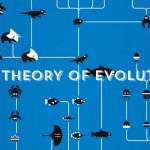 The Theory of Evolution5