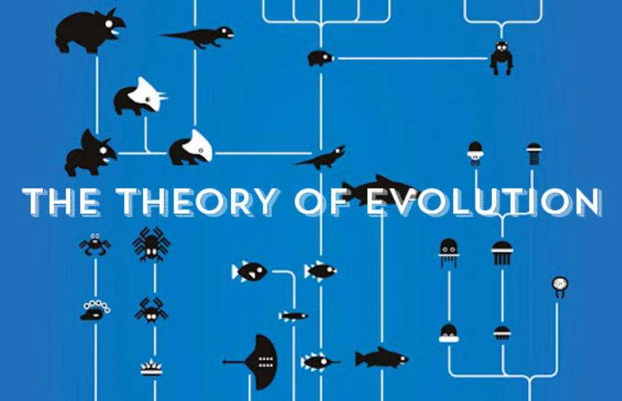 The Theory of Evolution