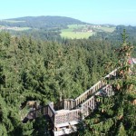 The World's Longest Tree Top Walk2