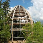 The World's Longest Tree Top Walk6