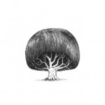 Tree with Haircuts-10