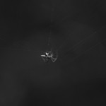 Victor Napreyenko Photography2