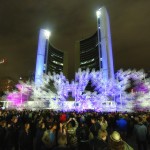 Bicycles Installation in Toronto1