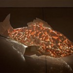 Fish Lamps-5