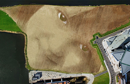 Monumental 11-Acre Portrait in Belfast