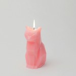 PyroPets Candles