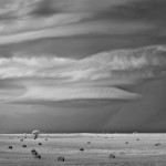 Saucer over Field