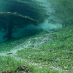 Underwater Park6