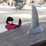 Wooden Shark Coffins3