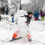 Young Finalist – David Hedges