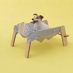 Architecture for Dogs-6
