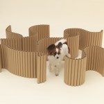 Architecture for Dogs-7