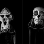 Exploration of Skeletons by Patrick Gries1