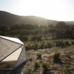 Geometric Shelter Inspired by a Cactus5