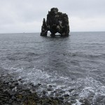 Icelandic Dinosaur-3